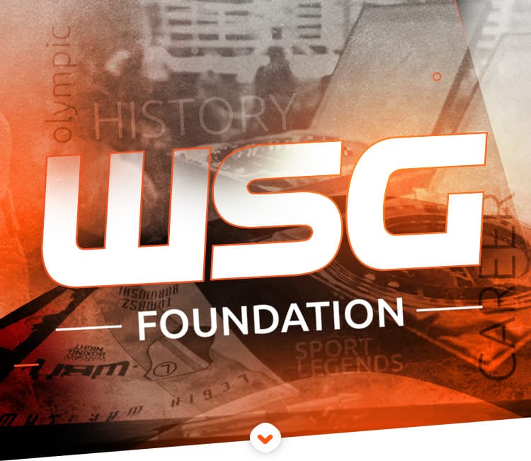WSG Fundacja