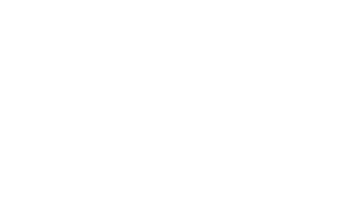 logo Warsaw Boxing Night